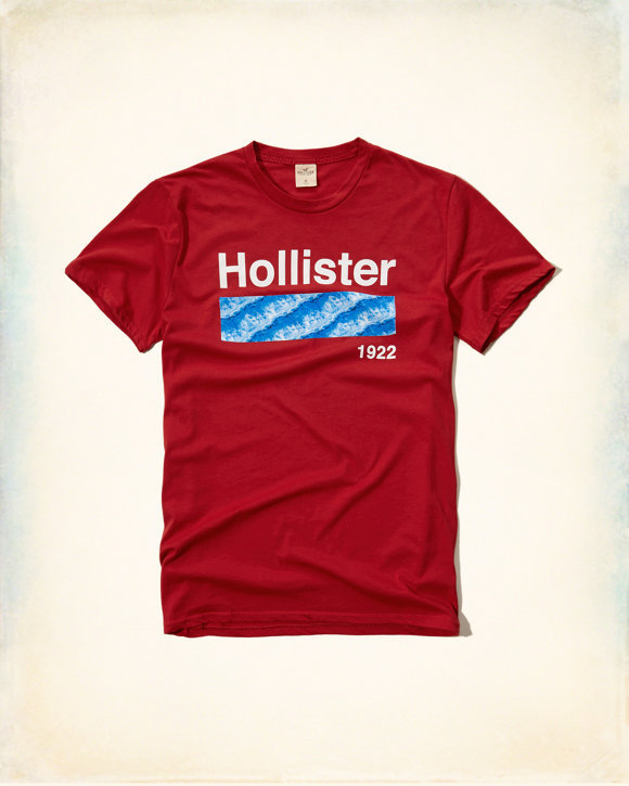 Hollister Men's T-shirts 192